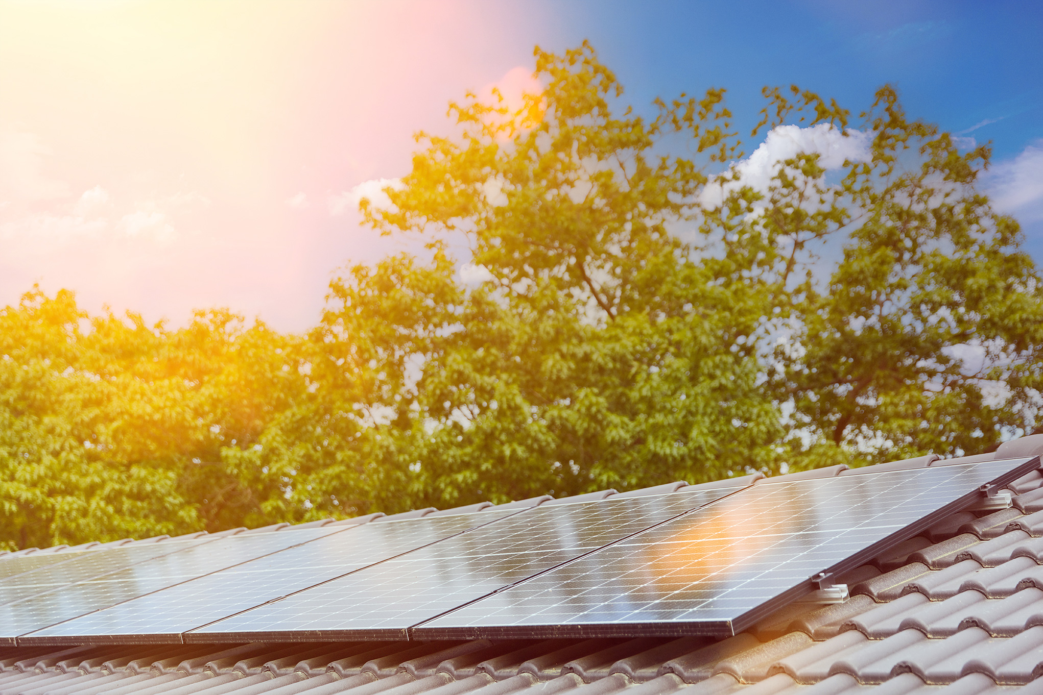 Can You Get Free Solar Panels in Nevada?