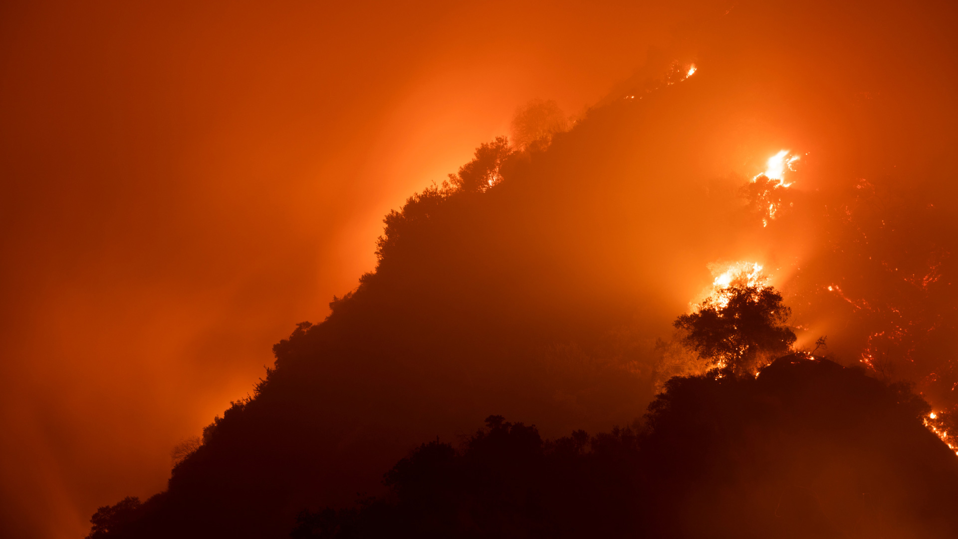 Wildfires Show that the Future is Solar